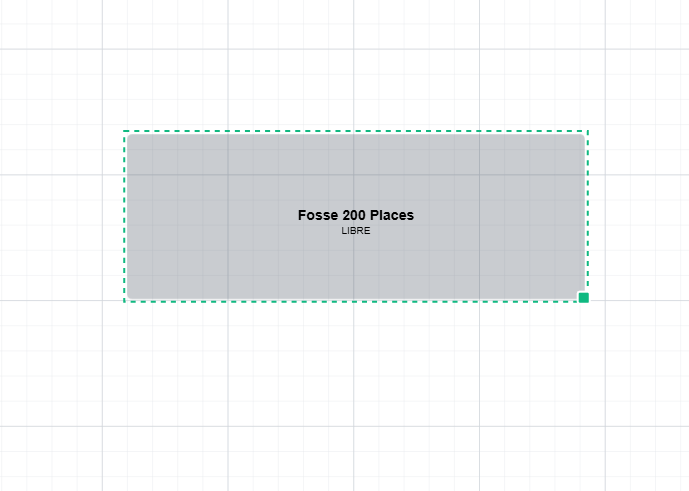 Zone libre pour placement debout (fosse, parterre), logiciel de plan de salle interactif Billettera